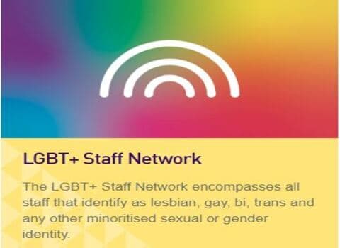 Logo of the Loughborough University LGBT+ staff group.  A multi-coloured background with white rainbow on top.